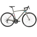 Sunspeed Triton Gris talla M